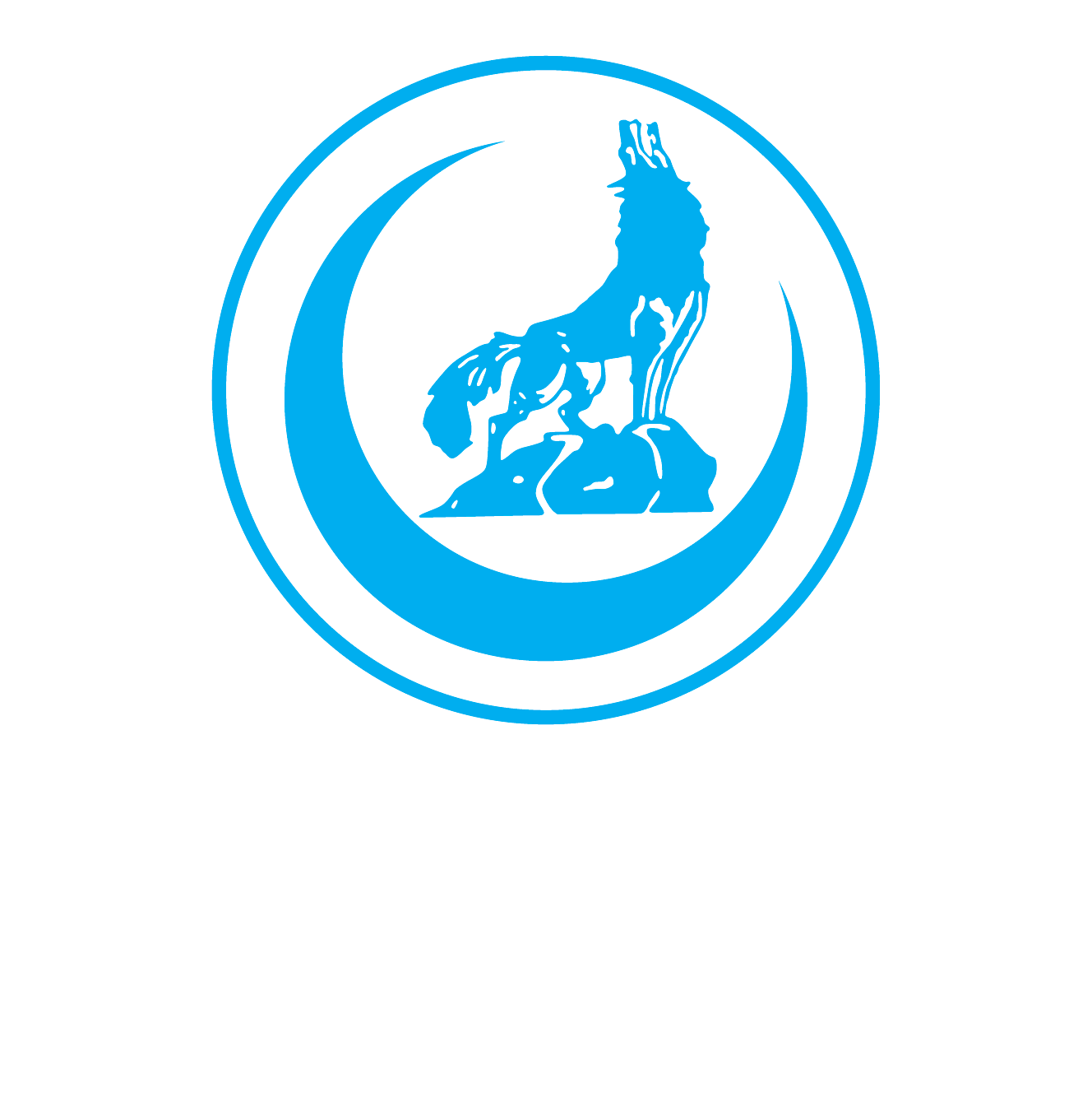 Karabük Ülkü Ocakları Logo
